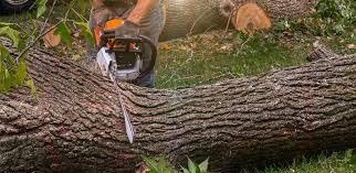 Best Artificial Turf Installation  in El Cerrito, CA